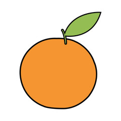 vector illustration of an orange