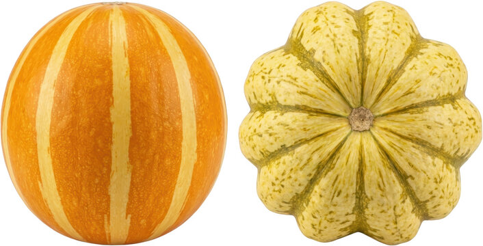 A smooth orange and yellow striped melon sits next to a ribbed green and yellow speckled squash showcasing their distinct textures and shapes pumpkin gourd transparent background
