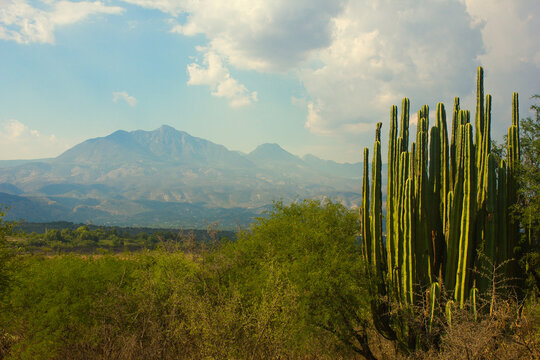 Foto panor&aacute;mica del Valle del Mezquital en Hidalgo, M&eacute;xico
