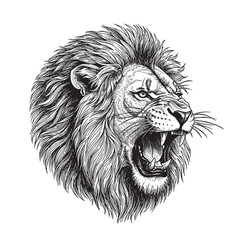 Vintage engraving illustration of a roaring lion head, highly detailed etching © tribass
