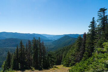 View south towards the pine tree-lined Cascade Mountain Range in the background with a steep slope dotted by pine trees and scrub brush in the foreground on a clear sunny day. 