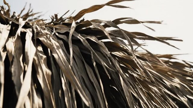 Low-angle view of a weathered thatch roof with a bright sky background during a sunny day