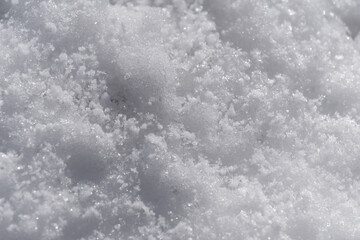 降ってから時間が経って少し硬くなった雪