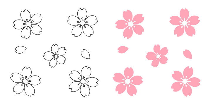 桜の花と花びらのイラストセット（カラーと線画のバリエーション）