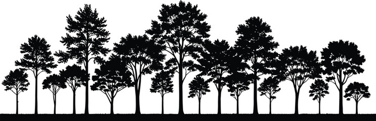Obraz premium Forest tree silhouette landscape, black woodland nature scene isolated vector illustration collection