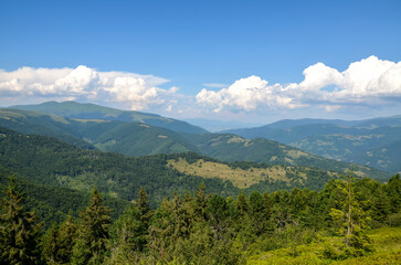 Fototapeta premium Vast mountain scenery features dense forests, gentle valleys, and distant ridges under a clear blue sky. Carpathian Mountains, Ukraine