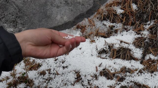 Close-up of graupel snow pellets picked up and demonstrated in hand, showing unique winter precipitation texture.