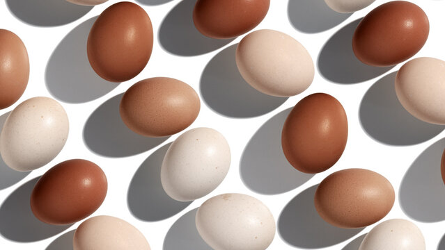 Natural eggs pattern banner, beige brown colored Chicken egg with shadow at sunlight isolated on white background. Minimal Easter holiday concept, top view food still life, trend patterns