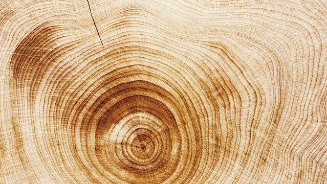 Tree Rings Graphical Image Tree Ring Graphic Images – Browse 29,935 Stock Photos, Vectors, and ...