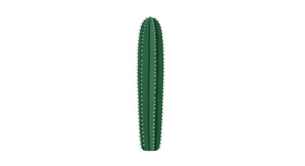 A tall green prickly cactus plant stands alone on a white background showcasing its spiky texture and vibrant color