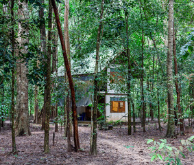 Monks Kuti in Wat Nong Pah Pong, Thailand. Traditional Buddhist residence in forest setting. Meditation and living quarters surrounded by nature.
