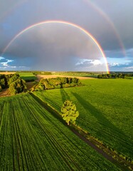 Fototapeta premium A vibrant double rainbow arcs over a lush green landscape