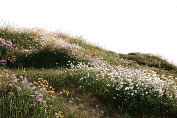 A vibrant meadow slopes upwards, teeming with small white, pink, and yellow wildflowers