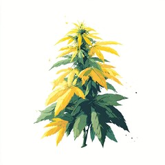 Vibrant green and yellow plant with serrated leaves, against a white background