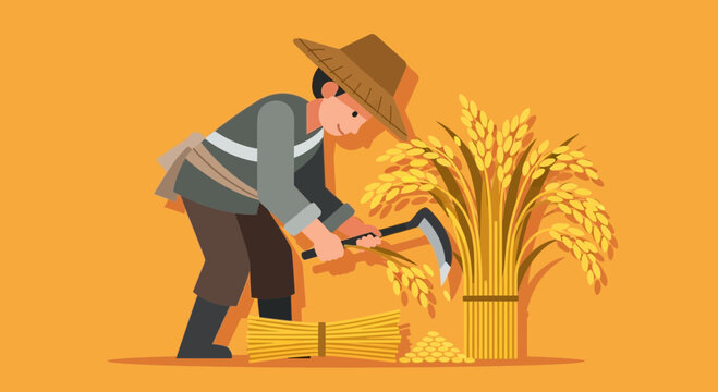 Farmer harvesting rice with sickle during golden season on a farm field, illustrative scene