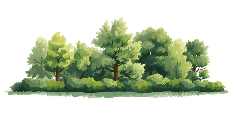 Forest's Greenery: A vibrant illustration showcasing a collection of lush, green trees and foliage, evoking a sense of tranquility and the beauty of the natural world.