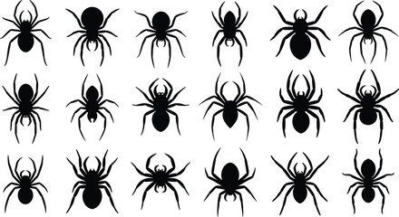 Black spider silhouette icon set, creepy crawling arachnid poses collection, halloween insect symbols, scary wildlife elements, minimalist flat vector illustration isolated on white background © Samol