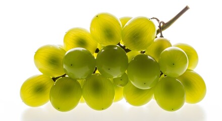 Fresh green grapes clustered on the stem captured in a close-up studio shot