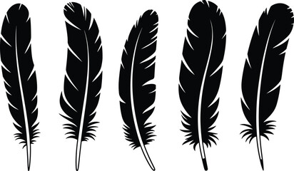 Black feather silhouettes set, isolated decorative bird plumage elements on white background vector illustration for design projects © ItZ Jobayer