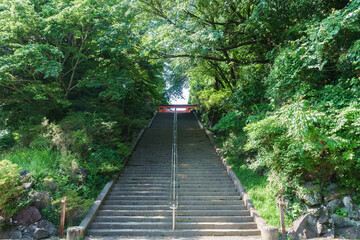 Obraz premium 緑に囲まれた霧島神社入口へ続く長い石段