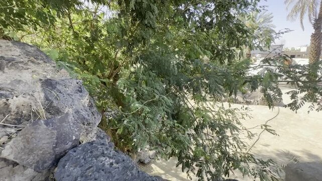A detailed exploration of the historical House of Kulthum ibn al-Hadm in Quba, Medina. Featuring ancient basalt stone walls, traditional masonry, and a view of the Quba Mosque minarets.