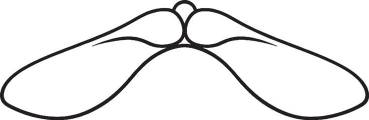 Maple Tree Samaras Paired Seeds Line Art Black White Botanical Illustration