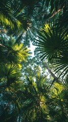 Fototapeta premium Sunlight filters through a dense canopy of palm leaves, creating intricate patterns of light and shadow in a tropical forest.