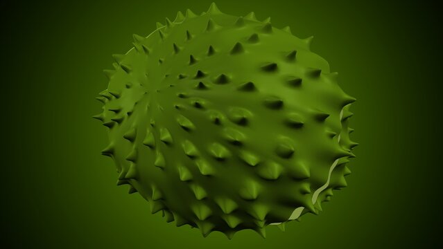 Bitter gourd vegetable seeds anatomy. 3d render
