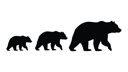 Silhouettes of bears from smallest to largest showcasing growth stages. isolated on white background, Vector © MD Riad Hossain 