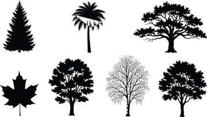 Fototapeta premium Black silhouette collection of diverse trees and maple leaf including pine palm oak and birch isolated on white background for nature vector design