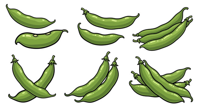 Green Bean Pod Illustration Set with Single, Double, and Grouped Pods