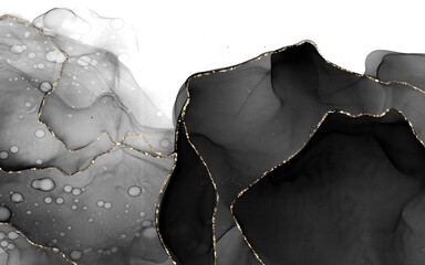 Luxury Black and Gold Alcohol Ink Abstract Background with Golden Veins