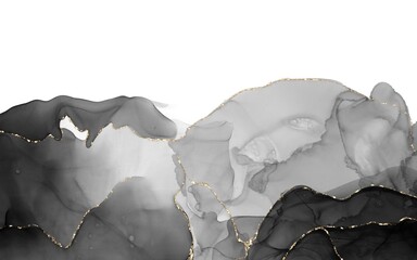 Luxury Black and Gold Alcohol Ink Abstract Background with Golden Veins
