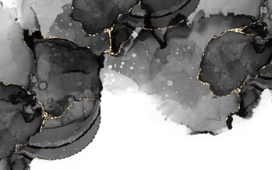 Luxury Black and Gold Alcohol Ink Abstract Background with Golden Veins