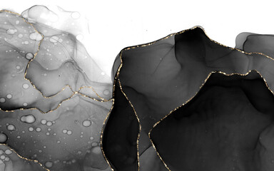 Luxury Black and Gold Alcohol Ink Abstract Background with Golden Veins