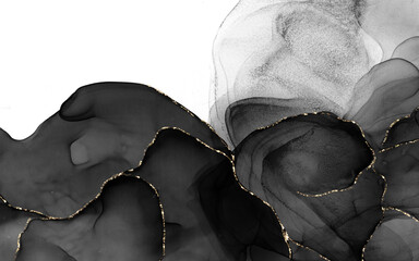 Luxury Black and Gold Alcohol Ink Abstract Background with Golden Veins