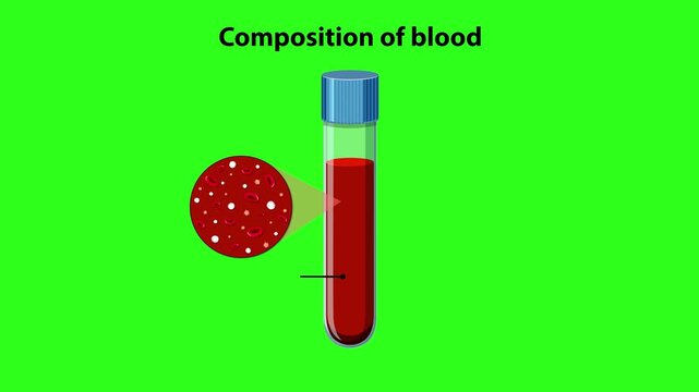 Medical Animation Explaining the Composition of Whole and Centrifuged Blood
