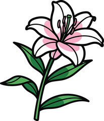 Rose Vector Illustration