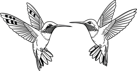 Hummingbird silhouettes hovering with wings spread, detailed flying bird vector illustration symbolizing agility, beauty and nature, wildlife design isolated on white background © Rejowanul Expressive