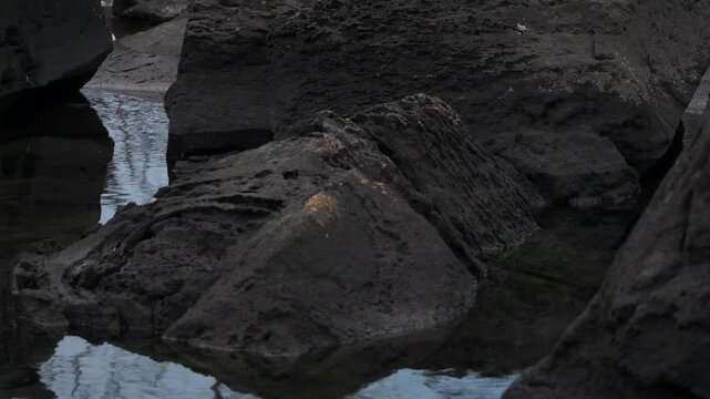 静かな入り江の岩礁地帯