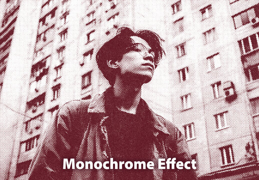 Vintage Monochrome Print Photo Effect
