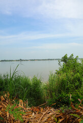 Vibrant green tall grass and lush foliage overlooking a calm wide river under a bright blue sky, creating a peaceful serene natural landscape scene outdoors.
