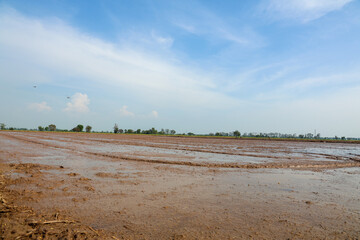 Muddy rice field with standing water reflecting clear blue sky, freshly prepared for planting in serene rural agricultural land.