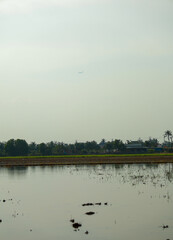 Tranquil flooded rice field reflecting distant village and lush trees under a soft, hazy sky with a small airplane flying overhead