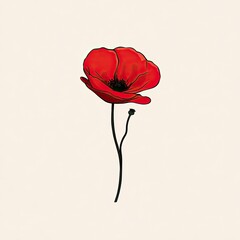 Single red poppy with delicate stem against a pale background