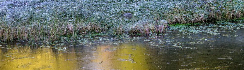 Obraz premium Frozen winter nature background, iced over pond with pattern and texture and yellow of sunlight reflecting on top, and frosted green grass bank in background 