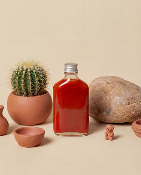 Blank Glass Bottle of Red Sauce Mockup with Mexican Clay Pots and Cactus &ndash; Minimal Product Branding Concept