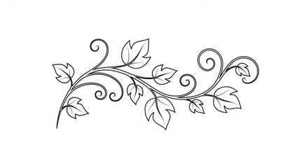 Intricate black line drawing of a leafy vine with curling tendrils on white background