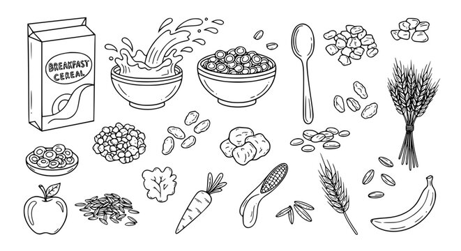 Healthy Breakfast Essentials: Grains, Fruits, and Dairy Collection