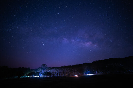 Silhouette of tree with cloud and night sky space background, Starry universe in dark blue sky, Milky way galaxy with stardust field in deep universe